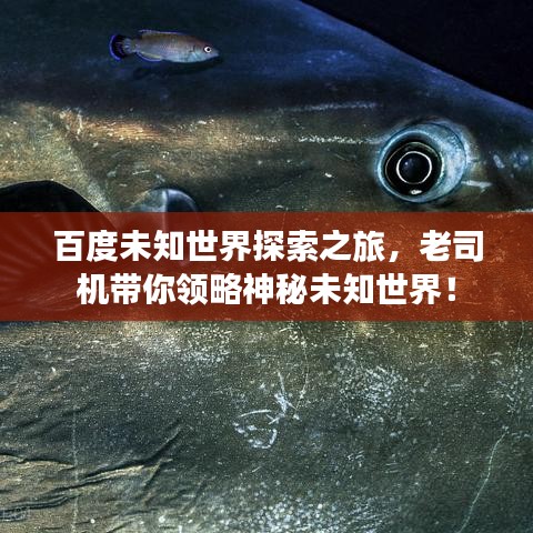 百度未知世界探索之旅，老司机带你领略神秘未知世界！