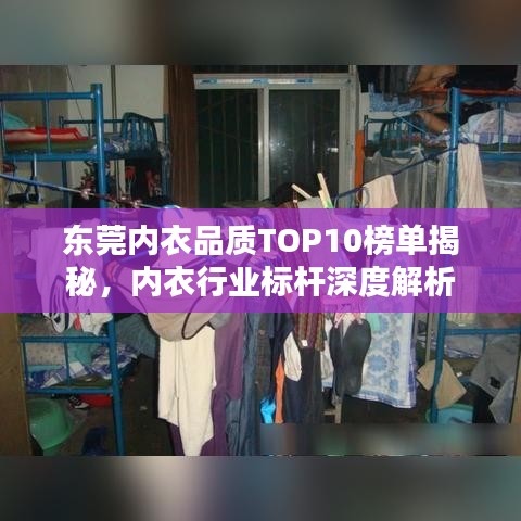 东莞内衣品质TOP10榜单揭秘，内衣行业标杆深度解析