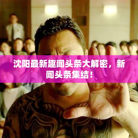沈阳最新趣闻头条大解密，新闻头条集结！