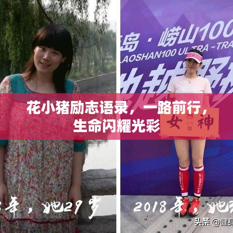 花小猪励志语录，一路前行，生命闪耀光彩
