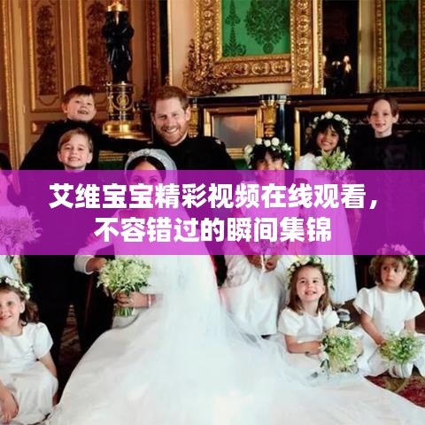 艾维宝宝精彩视频在线观看，不容错过的瞬间集锦