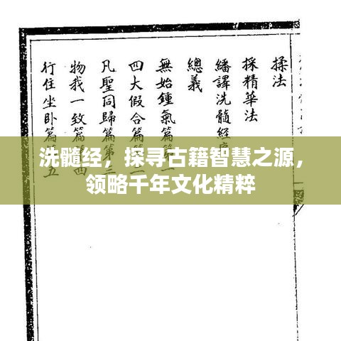 洗髓经，探寻古籍智慧之源，领略千年文化精粹