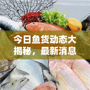 今日鱼货动态大揭秘，最新消息查询，掌握海洋鲜活资讯