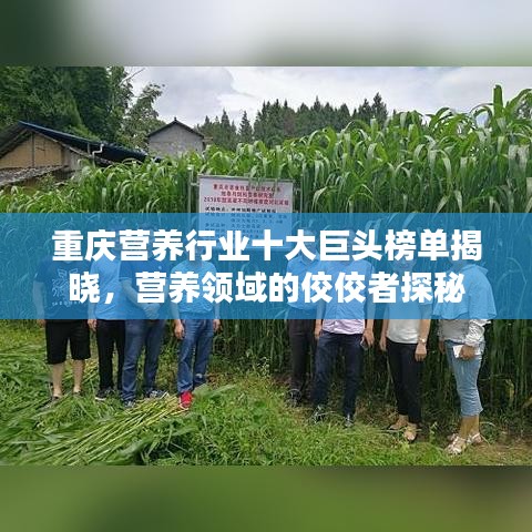 重庆营养行业十大巨头榜单揭晓，营养领域的佼佼者探秘