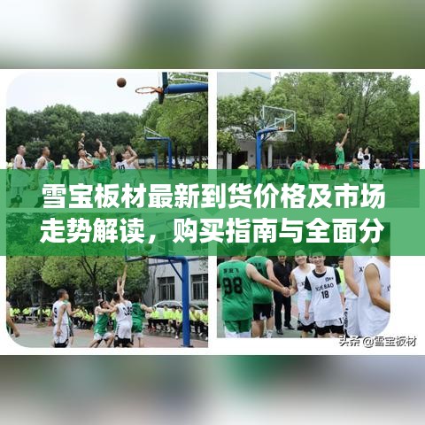 雪宝板材最新到货价格及市场走势解读，购买指南与全面分析