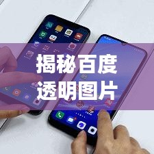 鸟入樊笼