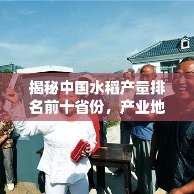 揭秘中国水稻产量排名前十省份，产业地理分布全解析！