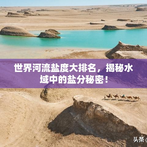 世界河流盐度大排名，揭秘水域中的盐分秘密！