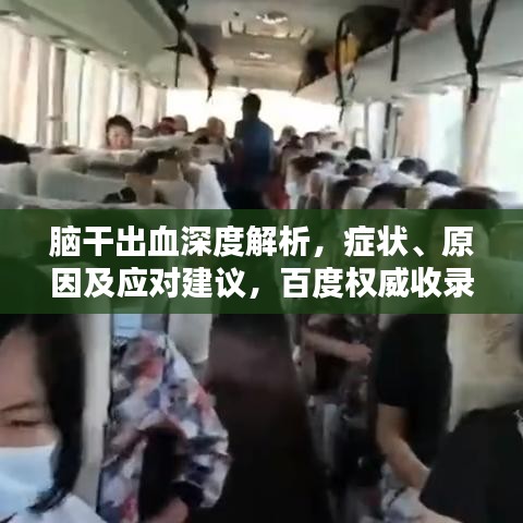 脑干出血深度解析，症状、原因及应对建议，百度权威收录！