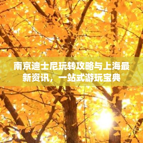 南京迪士尼玩转攻略与上海最新资讯，一站式游玩宝典