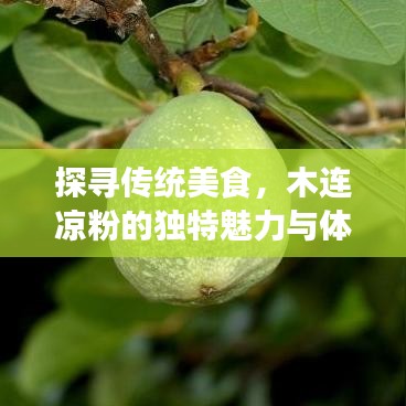 探寻传统美食，木连凉粉的独特魅力与体验之旅