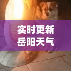 权贵显要