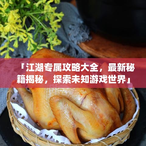 「江湖专属攻略大全，最新秘籍揭秘，探索未知游戏世界」