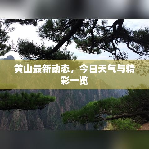 黄山最新动态，今日天气与精彩一览