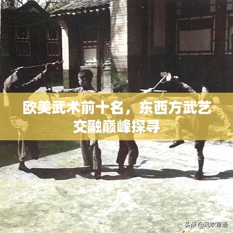 欧美武术前十名，东西方武艺交融巅峰探寻