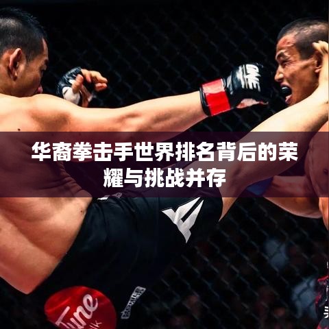 龙飞凤舞