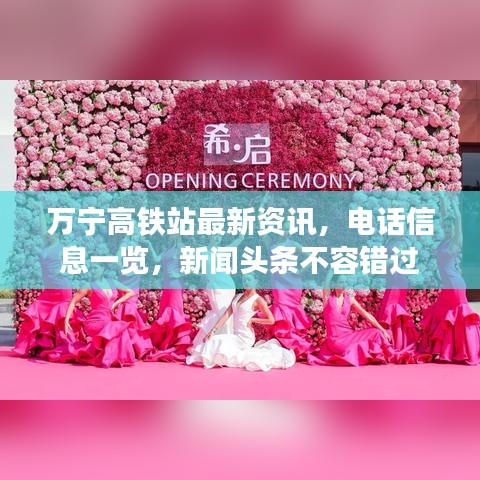 万宁高铁站最新资讯，电话信息一览，新闻头条不容错过