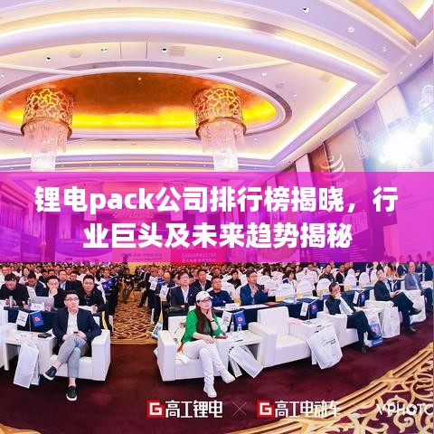 锂电pack公司排行榜揭晓，行业巨头及未来趋势揭秘
