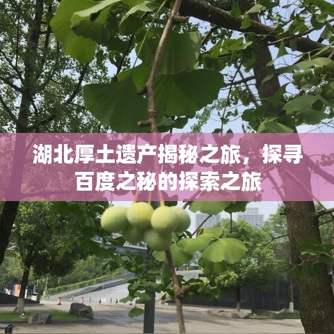 湖北厚土遗产揭秘之旅，探寻百度之秘的探索之旅