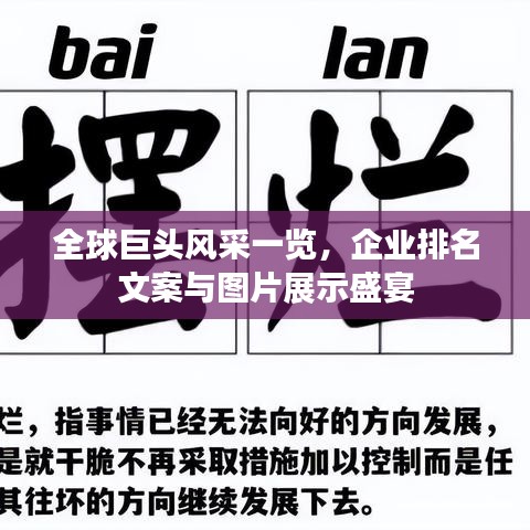 全球巨头风采一览，企业排名文案与图片展示盛宴