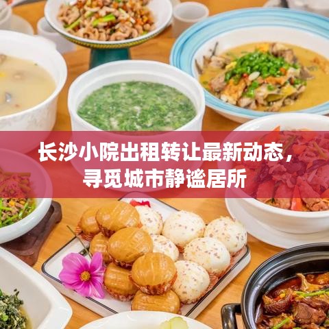长沙小院出租转让最新动态，寻觅城市静谧居所