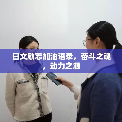 文质彬彬