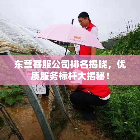 东营客服公司排名揭晓，优质服务标杆大揭秘！