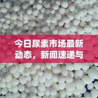 今日尿素市场最新动态，新闻速递与视频报告全解析