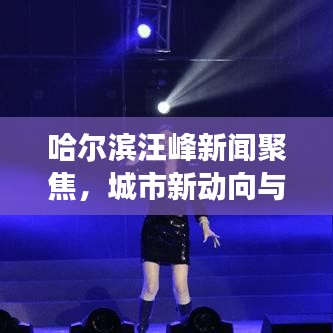 哈尔滨汪峰新闻聚焦，城市新动向与名人风采闪耀登场