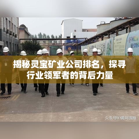 揭秘灵宝矿业公司排名，探寻行业领军者的背后力量