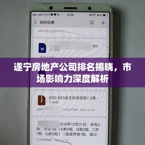遂宁房地产公司排名揭晓，市场影响力深度解析