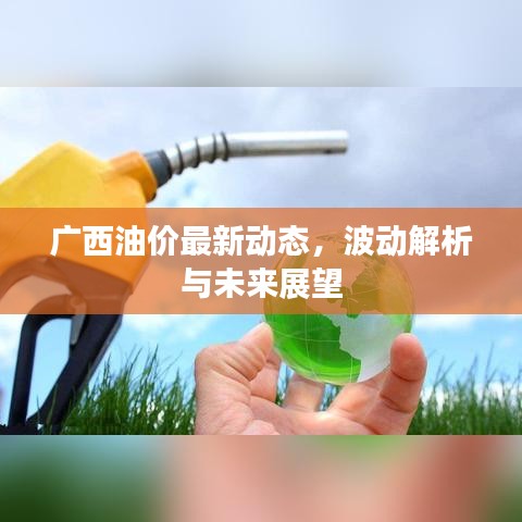 广西油价最新动态，波动解析与未来展望