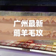 广州最新薅羊毛攻略，省钱必备！