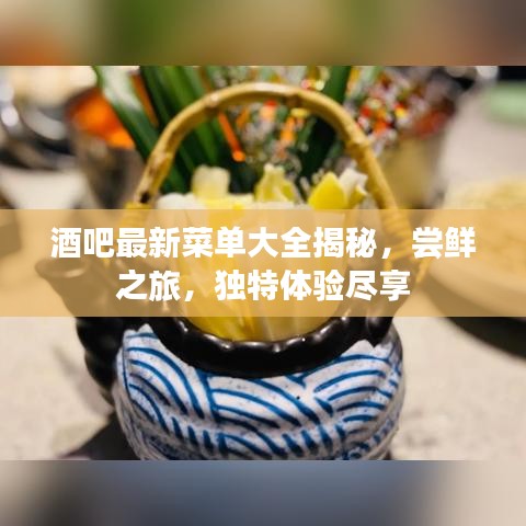 酒吧最新菜单大全揭秘，尝鲜之旅，独特体验尽享