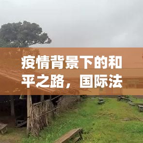 疫情背景下的和平之路，国际法如何助力避免冲突升级的最新解读