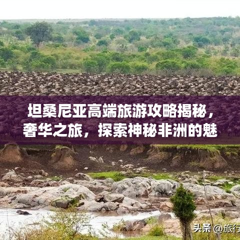 坦桑尼亚高端旅游攻略揭秘，奢华之旅，探索神秘非洲的魅力之旅