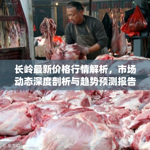 长岭最新价格行情解析，市场动态深度剖析与趋势预测报告