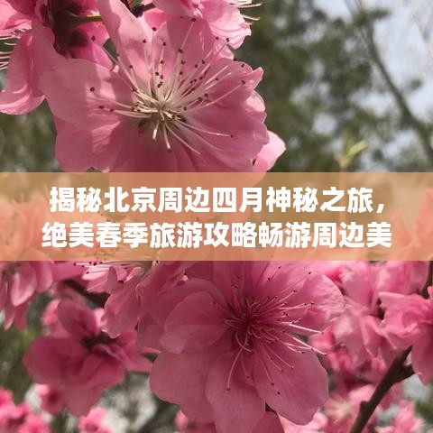 揭秘北京周边四月神秘之旅，绝美春季旅游攻略畅游周边美景