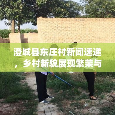 澄城县东庄村新闻速递，乡村新貌展现繁荣与发展