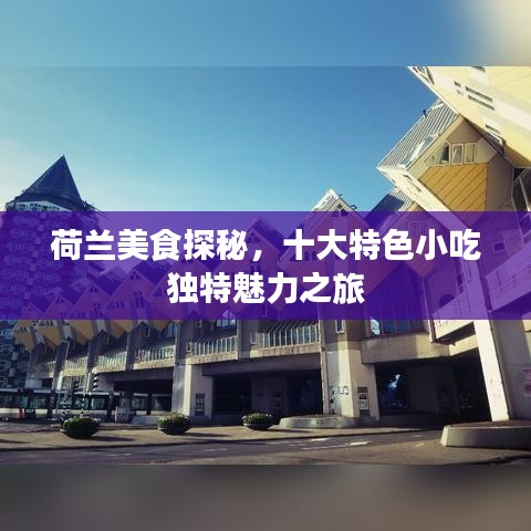 荷兰美食探秘，十大特色小吃独特魅力之旅