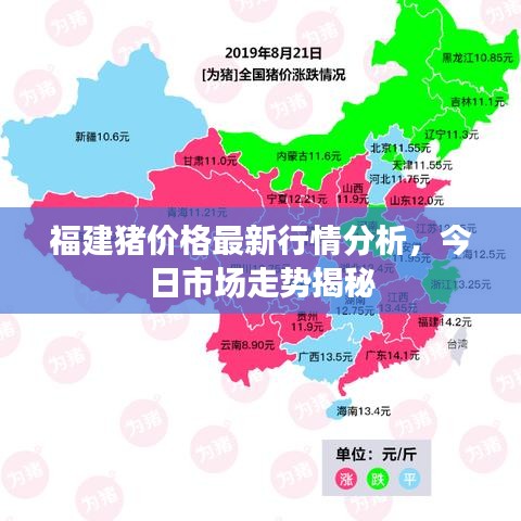 福建猪价格最新行情分析，今日市场走势揭秘