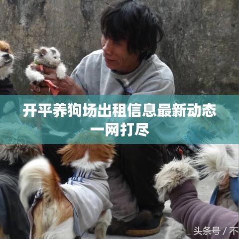 开平养狗场出租信息最新动态一网打尽