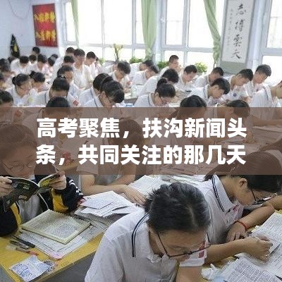 高考聚焦，扶沟新闻头条，共同关注的那几天
