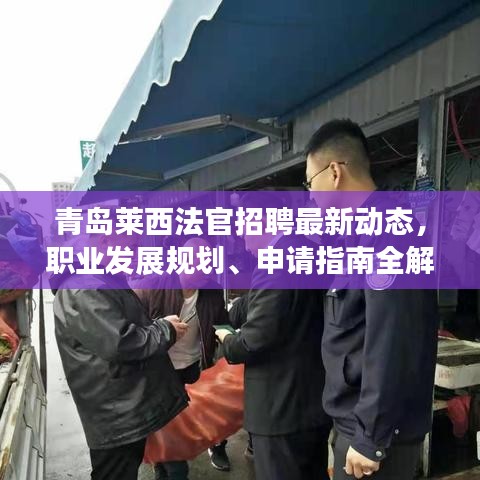 青岛莱西法官招聘最新动态，职业发展规划、申请指南全解析