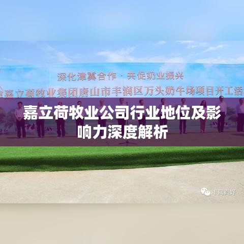 嘉立荷牧业公司行业地位及影响力深度解析