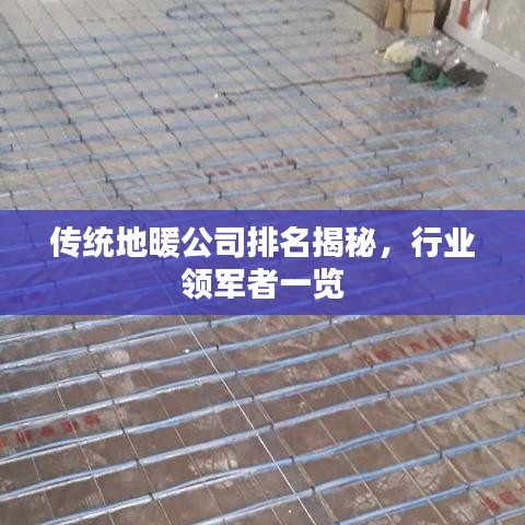 传统地暖公司排名揭秘，行业领军者一览