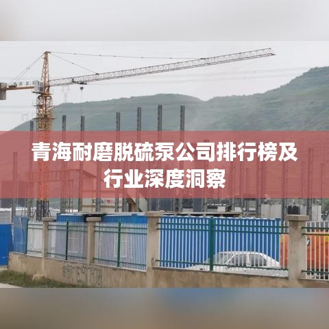 青海耐磨脱硫泵公司排行榜及行业深度洞察