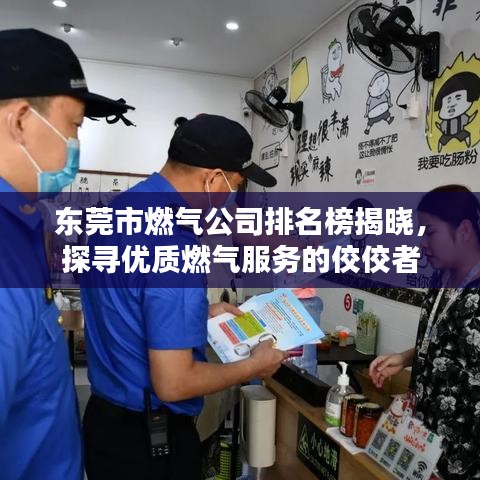 东莞市燃气公司排名榜揭晓，探寻优质燃气服务的佼佼者