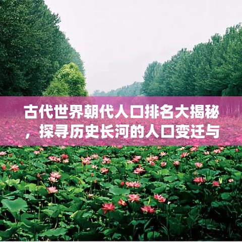 古代世界朝代人口排名大揭秘，探寻历史长河的人口变迁与波澜壮阔的历程