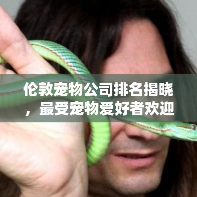 伦敦宠物公司排名揭晓，最受宠物爱好者欢迎的公司TOP榜单！